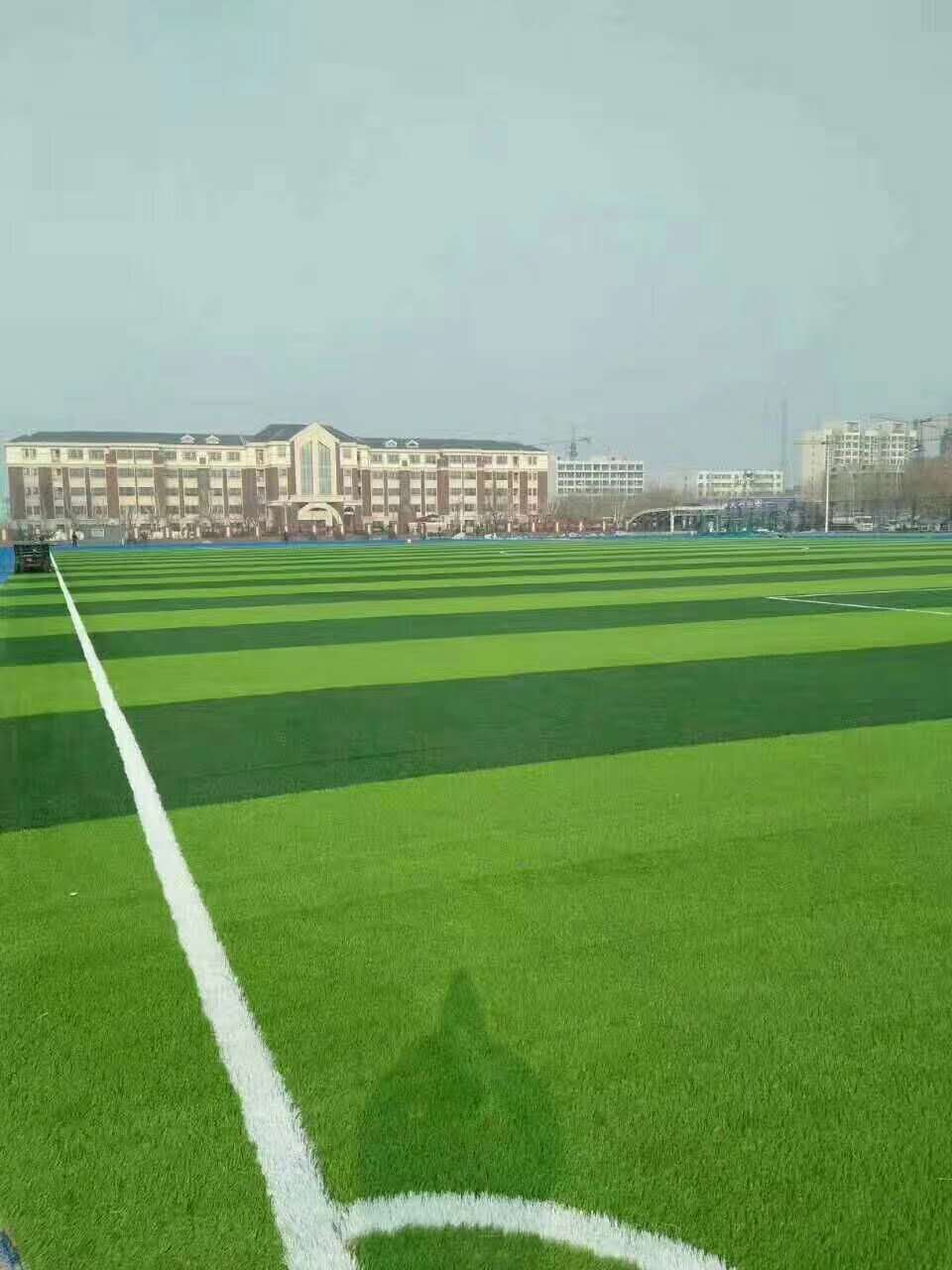 聊城市硅pu球场材料仿真草坪 - 厂家